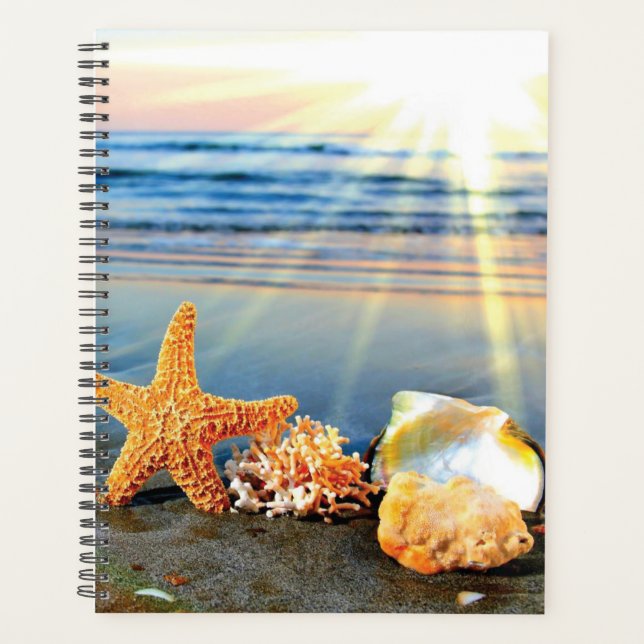 Agenda conchas de mar y estrellas de mar en la playa (Anverso)