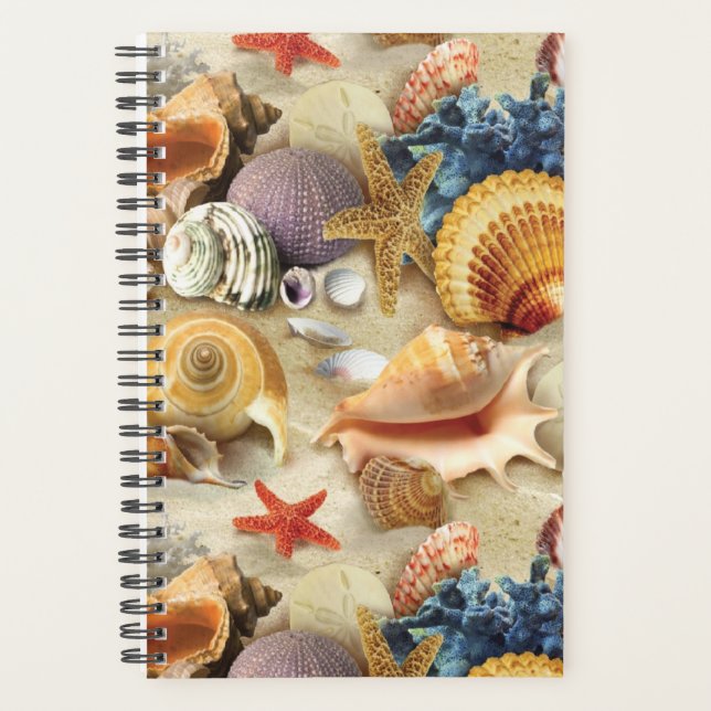 Agenda conchas marinas en la playa (Anverso)