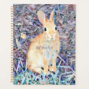 Agenda Conejo