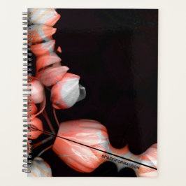 Agenda "Corazón blanco en negro por el sol"