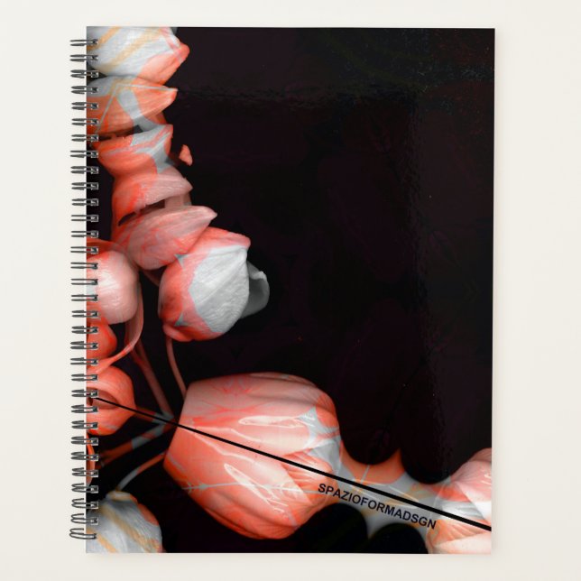 Agenda "Corazón blanco en negro por el sol" (Anverso)