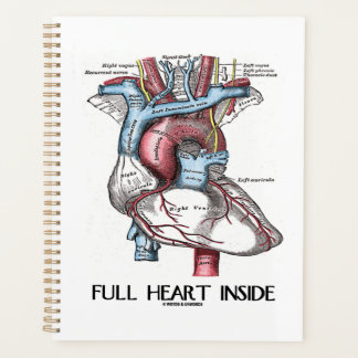Agenda Corazón lleno dentro del Ilustracion anatómico
