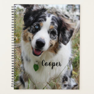 Agenda Corbata australiana de pastor Merle personalizada
