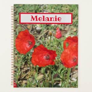 Agenda Corfu Red Poppies