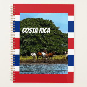 Agenda Costa Rica - Caballos a orillas del agua