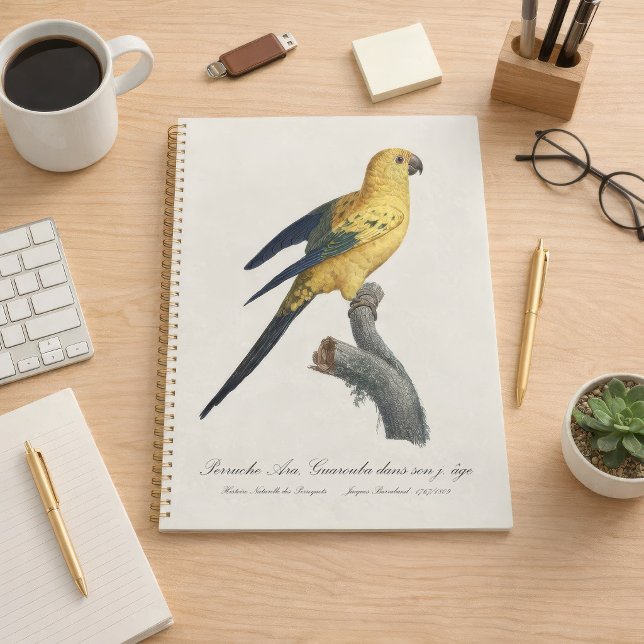 Agenda Cotorra del Sol o Aratinga solstitialis (Guarouba dans sons jeune age / Sun parakeet. Planner)