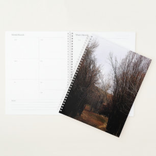 Agenda Crecimiento excesivo de la Bannack