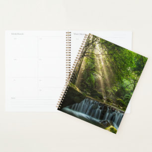 Agenda Creek Longquan Glamorous