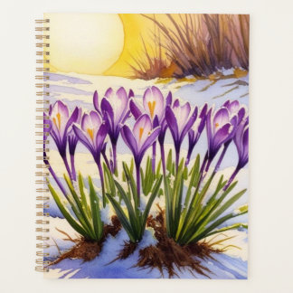 Agenda Crocus Flower