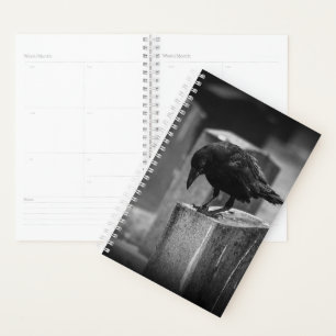 Agenda Crow en el cementerio caído