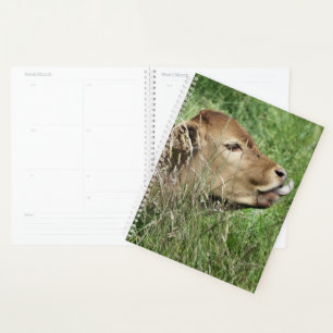 AGENDA CUADRAR VACA