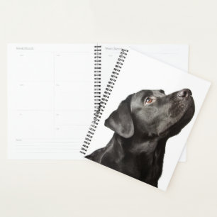 Agenda Cuadrillo negro cachorro Perro amor Labrador