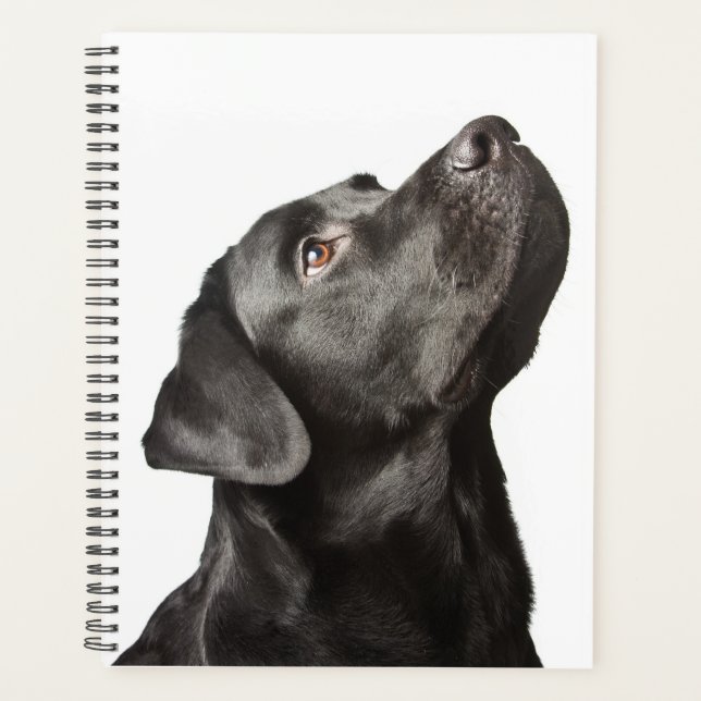 Agenda Cuadrillo negro cachorro Perro amor Labrador (Anverso)
