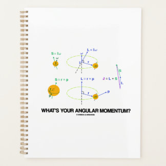 Agenda ¿Cuál es tu impulso angular? Diagramas de física