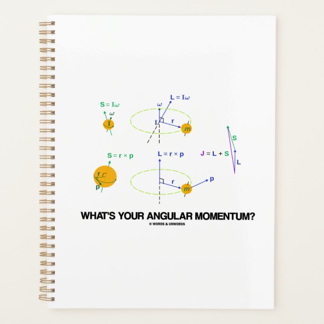 Agenda ¿Cuál es tu impulso angular? Diagramas de física (Anverso)