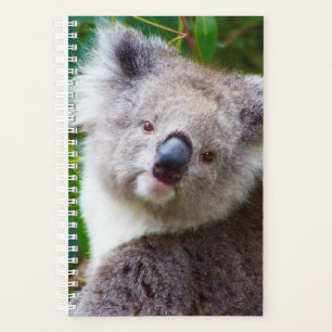 Agenda Cubierta suave pequeña de Koala, espiral blanca
