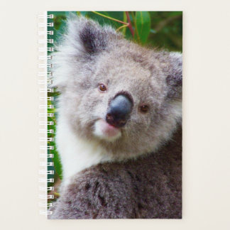 Agenda Cubierta suave pequeña de Koala, espiral blanca