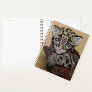 Agenda Cubo de leopardo nublado