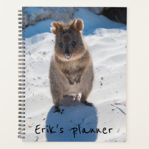 Agenda Cuidada y feliz Quokka en la playa de Australia