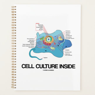 Agenda Cultura celular dentro de la celda eucariótica