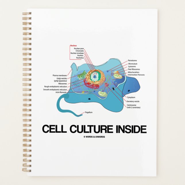 Agenda Cultura celular dentro de la celda eucariótica (Anverso)