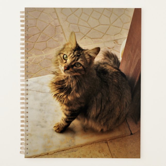 Agenda Curioso portátil Kitty (Anverso)