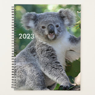 Agenda Cute Australian koala planner 2023