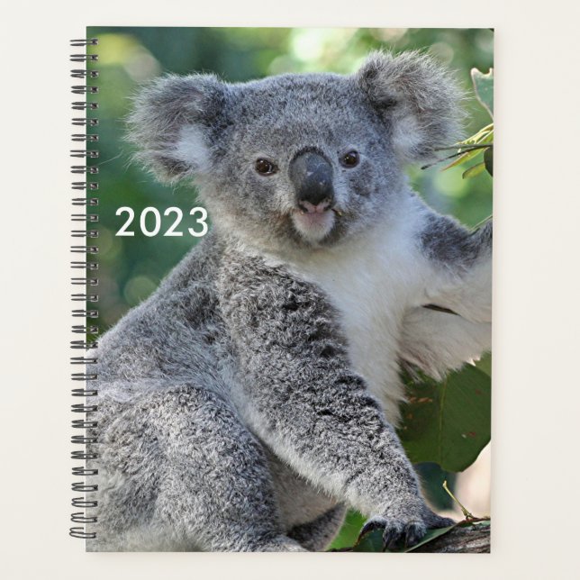 Agenda Cute Australian koala planner 2023 (Anverso)