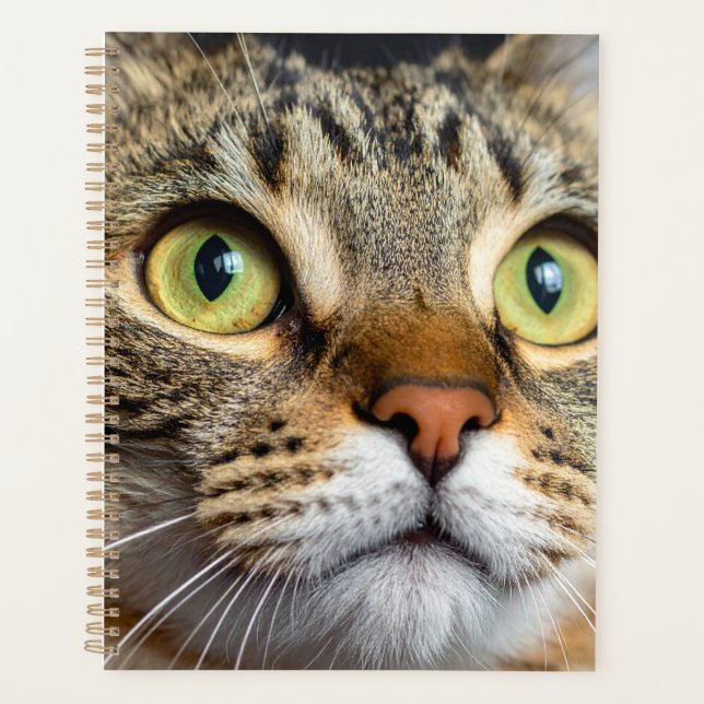 Agenda Cute cat (Anverso)