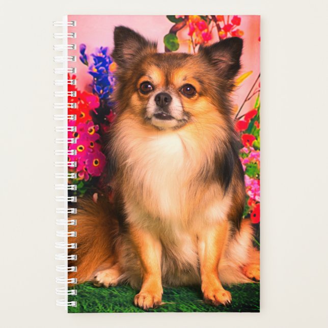Agenda Cute Chihuahua en medio de las flores de primavera (Anverso)