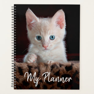 Agenda Cute Kitten