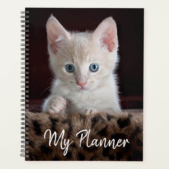 Agenda Cute Kitten (Anverso)