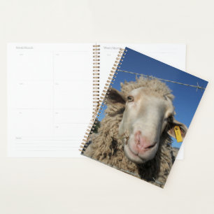Agenda Cute Merino Cabeza de Oveja Animal