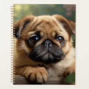 Agenda Cute Pug