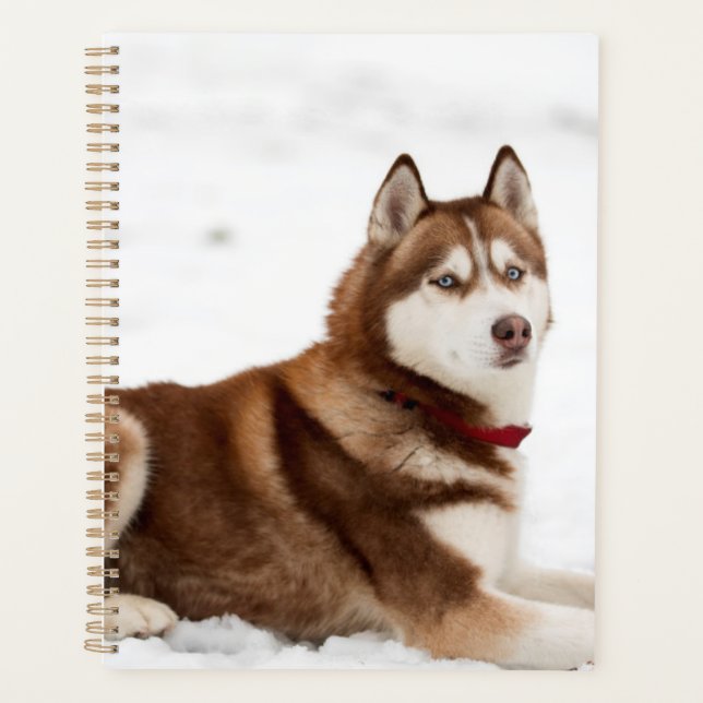 Agenda Cute siberian Husky retrato (Anverso)