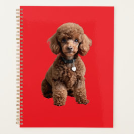 Agenda Cute Teacup Poodle Carpeta Roja