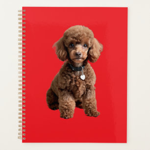 Agenda Cute Teacup Poodle Carpeta Roja