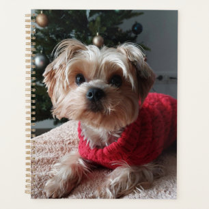 Agenda Cute Yorkie Yorkshire Terrier con árbol de Navidad