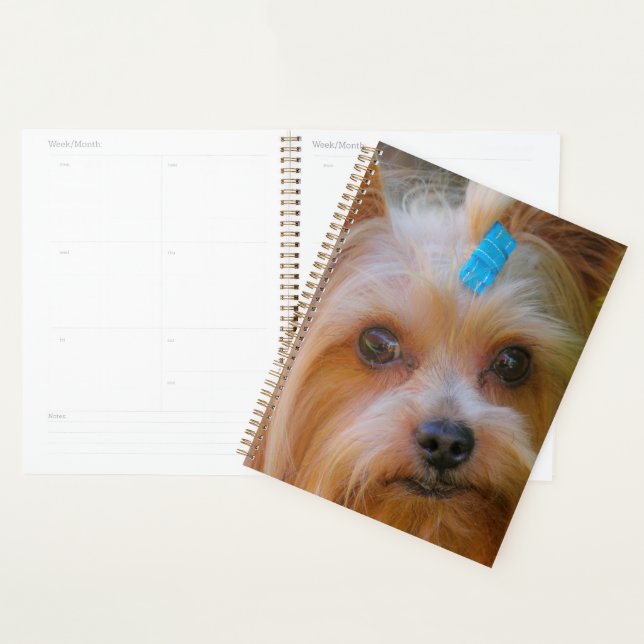 Agenda Cute Yorkshire Terrier Dog Head (Demostración)
