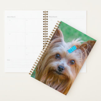 Agenda Cute Yorkshire Terrier Dog Head