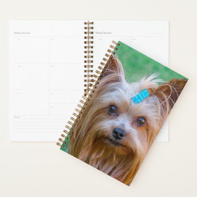 Agenda Cute Yorkshire Terrier Dog Head (Demostración)