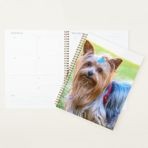 Agenda Cute Yorkshire Terrier Dog Head