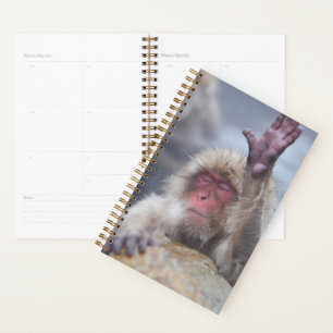 Agenda Cutest Baby Animals Snow Monkey Face