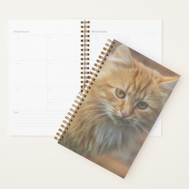 Agenda Cuto Funky Ginger Cat Kitten Face (Demostración)