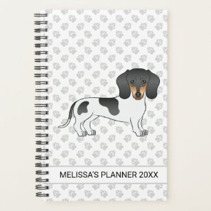 Agenda Dachshund de pelo corto piebald negro y bronceado 