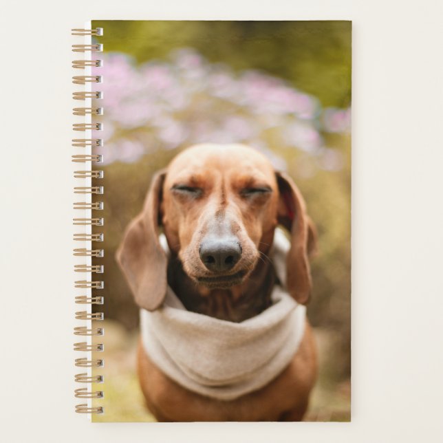 Agenda Dachshund lindo (Anverso)