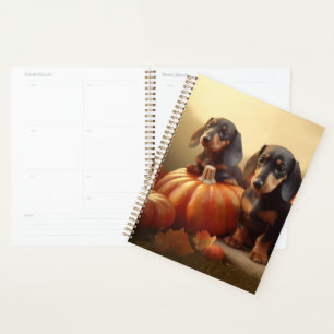 Agenda Dachshund Puppy Calabaza deslumbrante de otoño