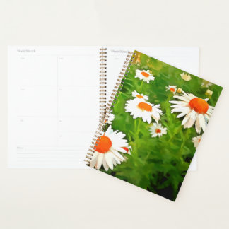 Agenda Daisies del jardín blanco brillante y brillante ar