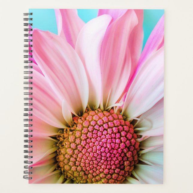 Agenda Daisy (Anverso)