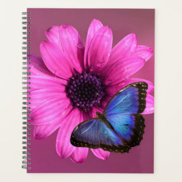 Agenda Daisy y Morpho